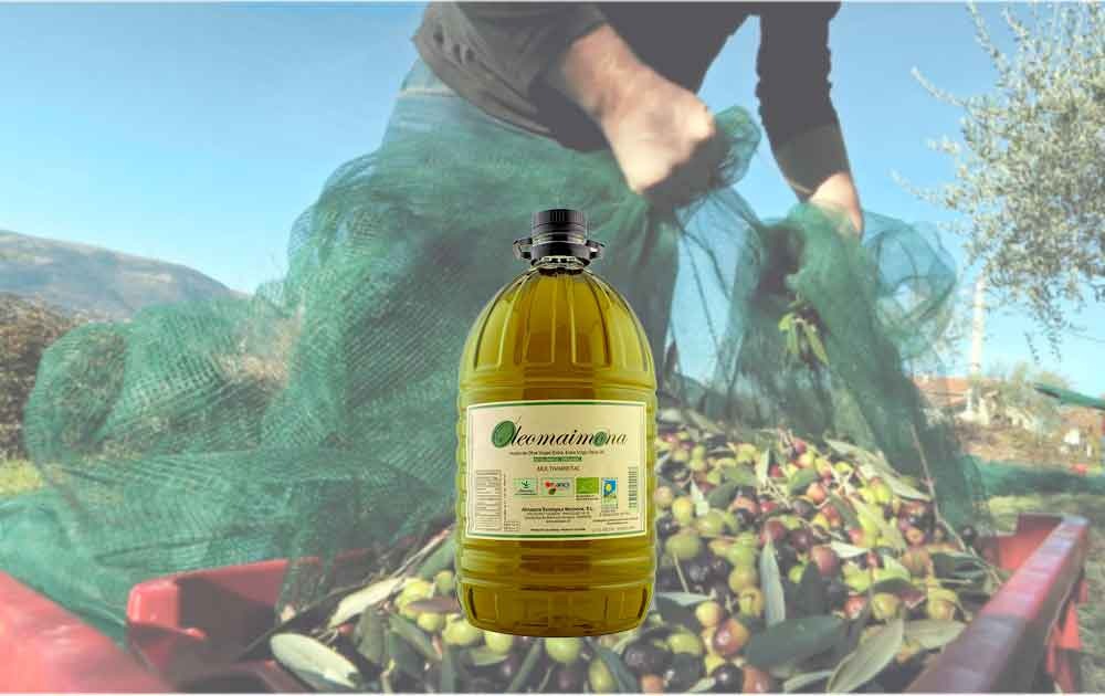 Comprar Aceite de oliva ecológico de extremadura